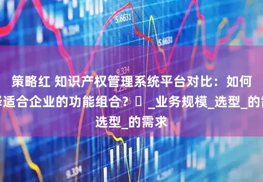 策略红 知识产权管理系统平台对比：如何选择适合企业的功能组合？​_业务规模_选型_的需求