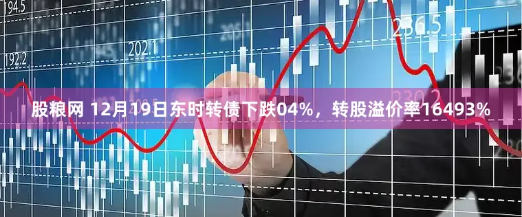 股粮网 12月19日东时转债下跌04%，转股溢价率16493%